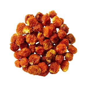 Aguaymanto deshidratado