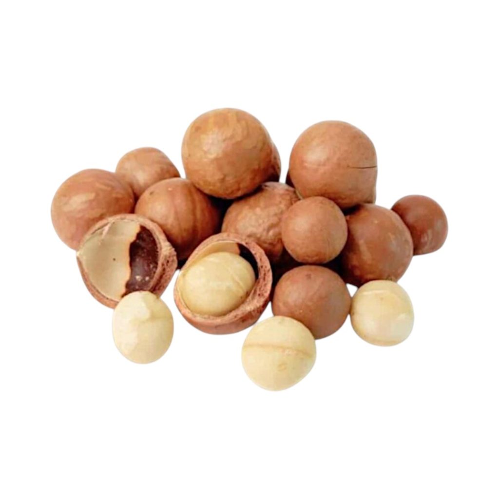 Nuez de macadamia