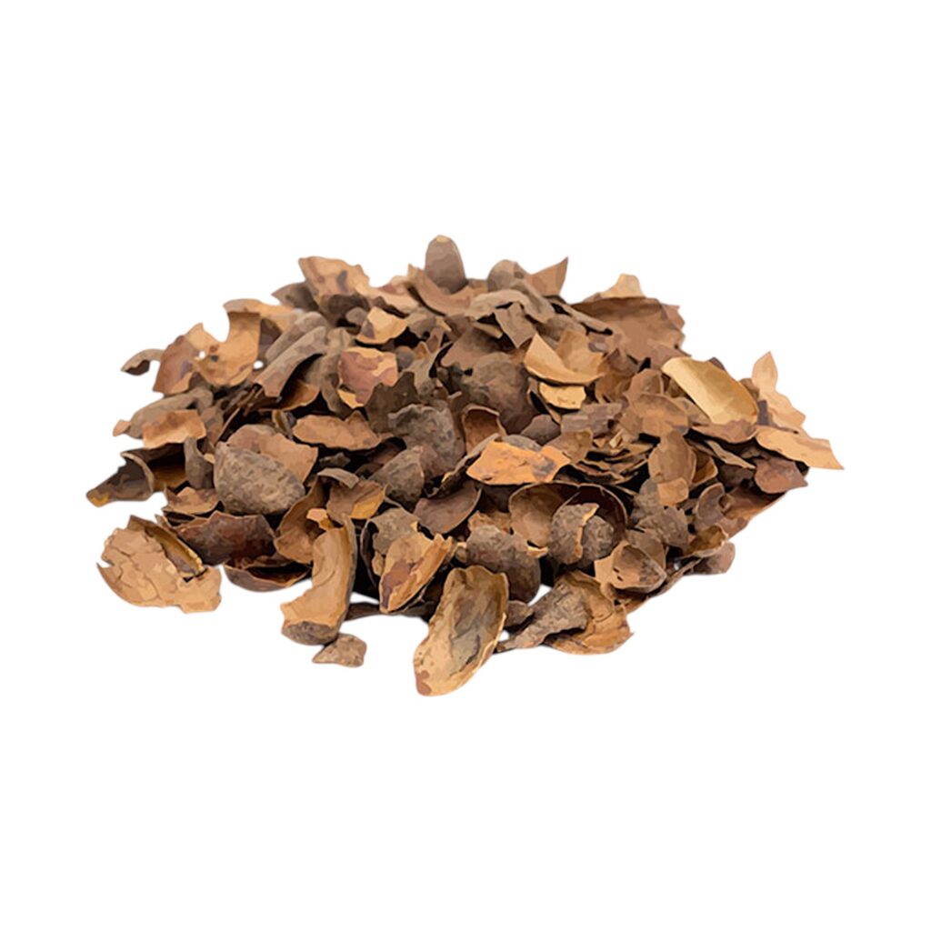 Cascara de cacao