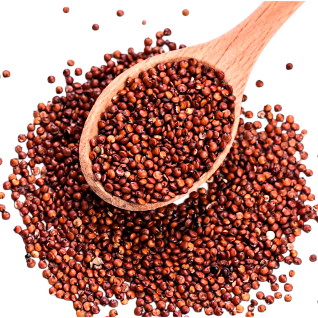 Quinua roja en grano