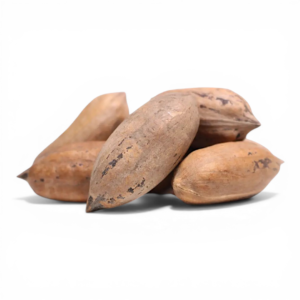 Pecana con cáscara